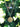 Solid gold circle pendant necklace on a curb chain with blurred leaves in the background.