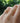 Two thin gold band rings worn on a person's fingers, photographed outdoors with a blurred green foliage background.